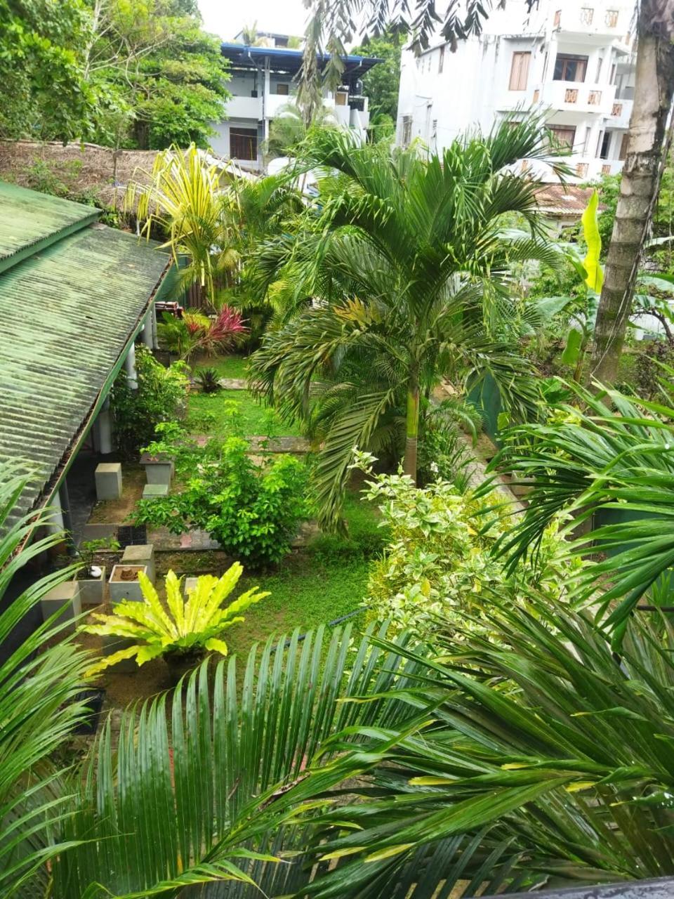 Lion Paradise Surf Beach Matara Luaran gambar