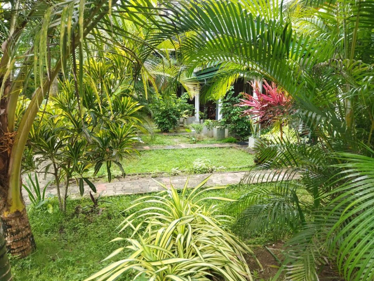 Lion Paradise Surf Beach Matara Luaran gambar